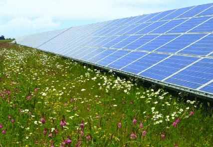 Zonnepanelen op kruidenrijk gras