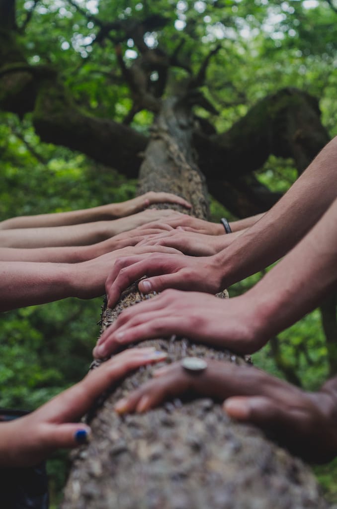handen op boomstam