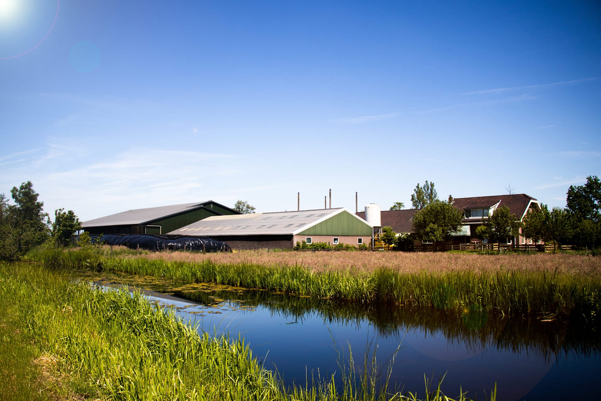 Beukehof Van Dam